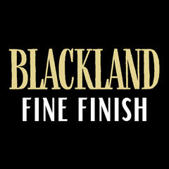 Blackland Fine Finish - Dallas DFW furniture & cabinet refinishing - interior painting